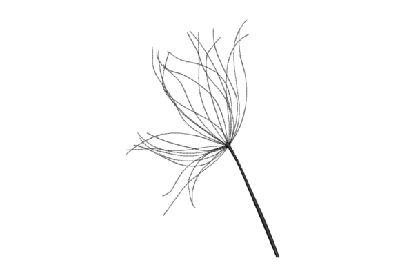 Reviewing Dandelion Seed Head for Boutique Sweatshirts